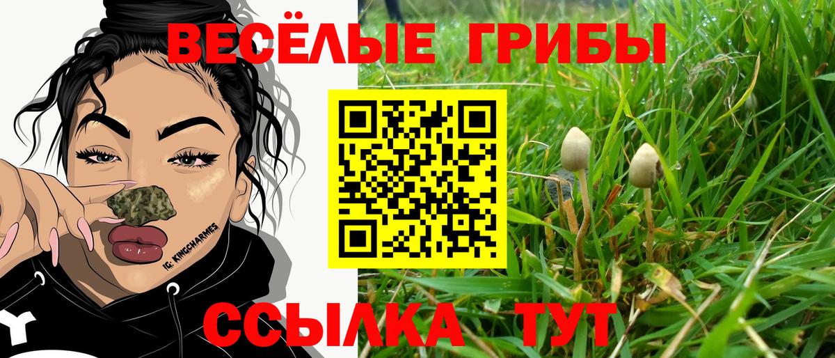 Галлюциногенные грибы мухоморы  Вход с VPN  Борисоглебск 